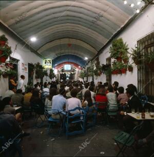 Vecinos del pueblo cordobés viendo en un bar la participación de su alcalde en...