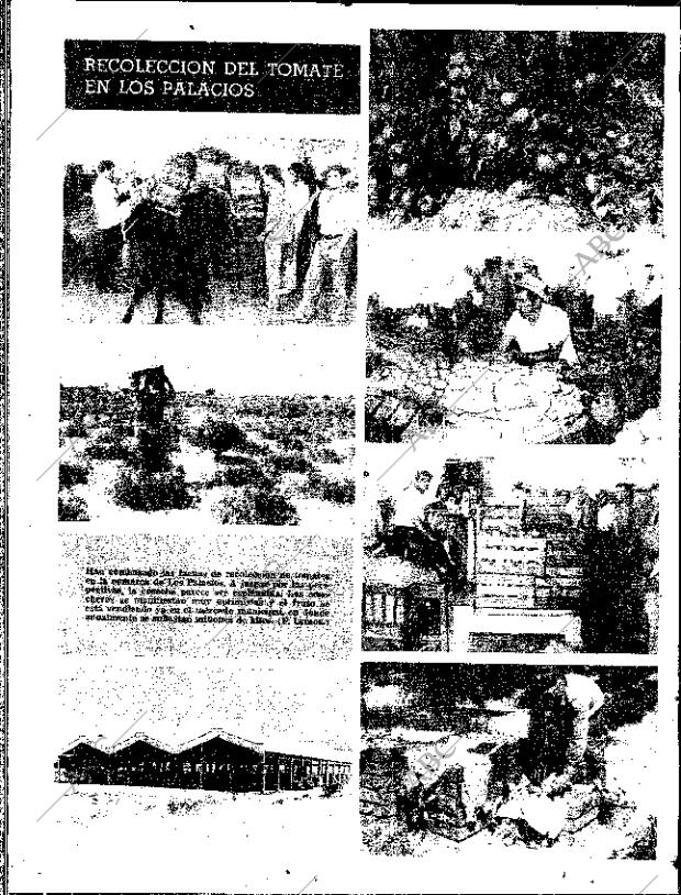 ABC SEVILLA 17-07-1968 página 8