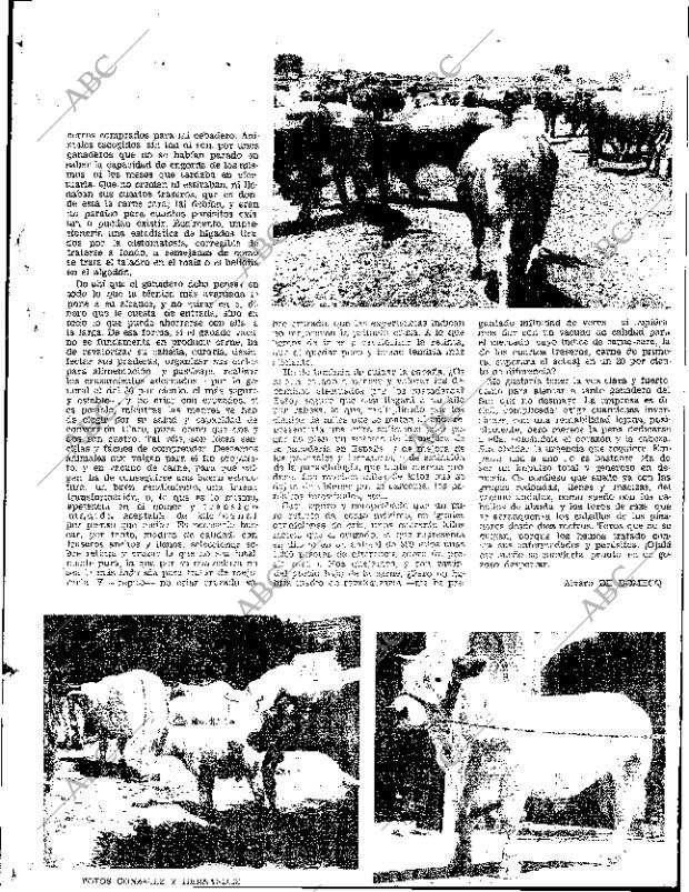 ABC SEVILLA 06-09-1968 página 25