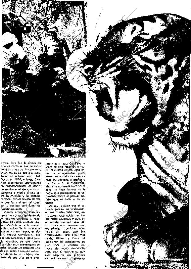 ABC MADRID 22-09-1968 página 107