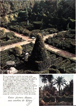 BLANCO Y NEGRO MADRID 19-10-1968 página 61