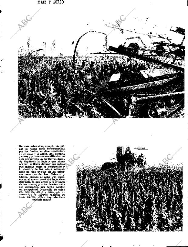 ABC SEVILLA 05-11-1968 página 21