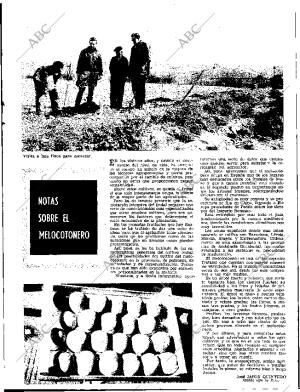 ABC SEVILLA 21-11-1968 página 61