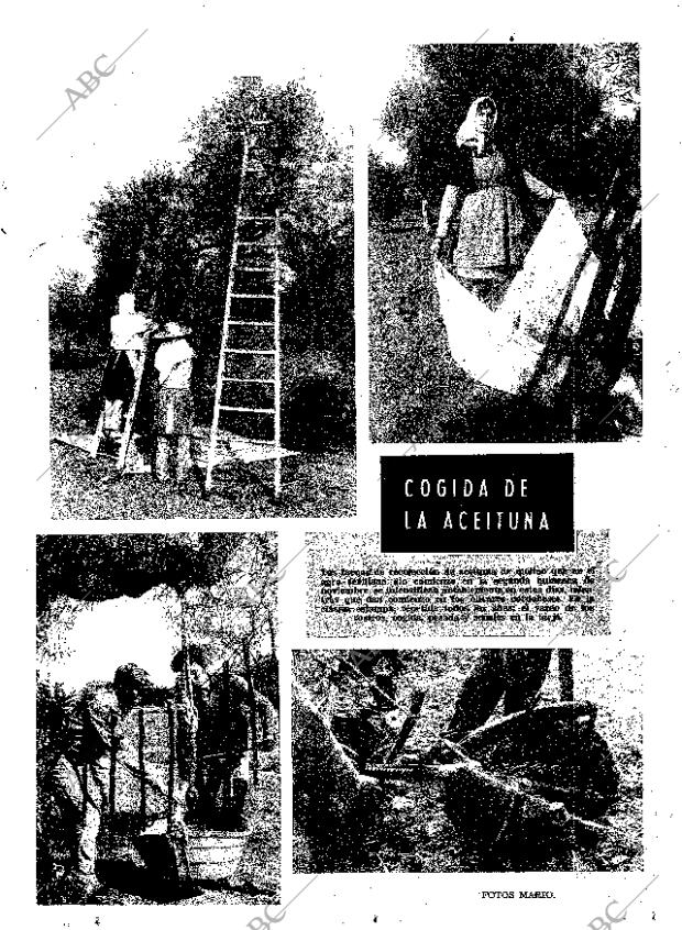 ABC SEVILLA 08-12-1968 página 11