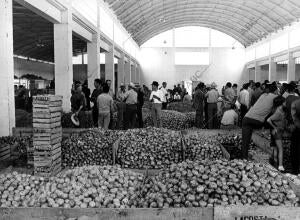 Mercado de Velez Málaga