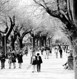 Paseo de la Virgen del prado en Talavera de la Reina (Toledo)