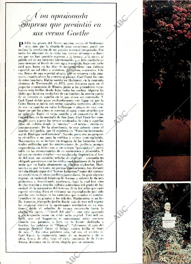 BLANCO Y NEGRO MADRID 25-01-1969 página 36