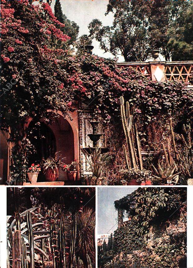 BLANCO Y NEGRO MADRID 25-01-1969 página 37