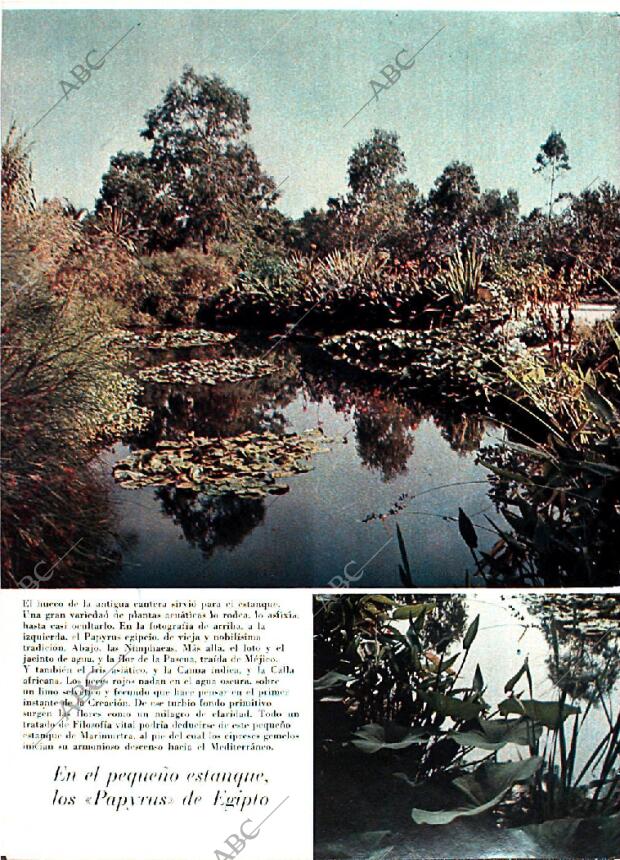 BLANCO Y NEGRO MADRID 25-01-1969 página 38