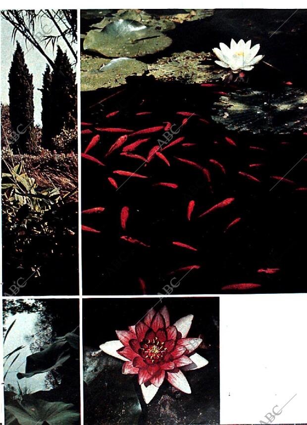 BLANCO Y NEGRO MADRID 25-01-1969 página 39