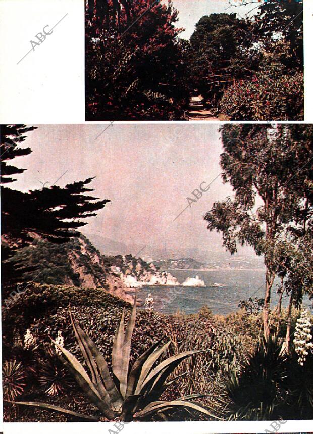 BLANCO Y NEGRO MADRID 25-01-1969 página 40