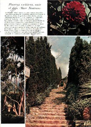 BLANCO Y NEGRO MADRID 25-01-1969 página 41