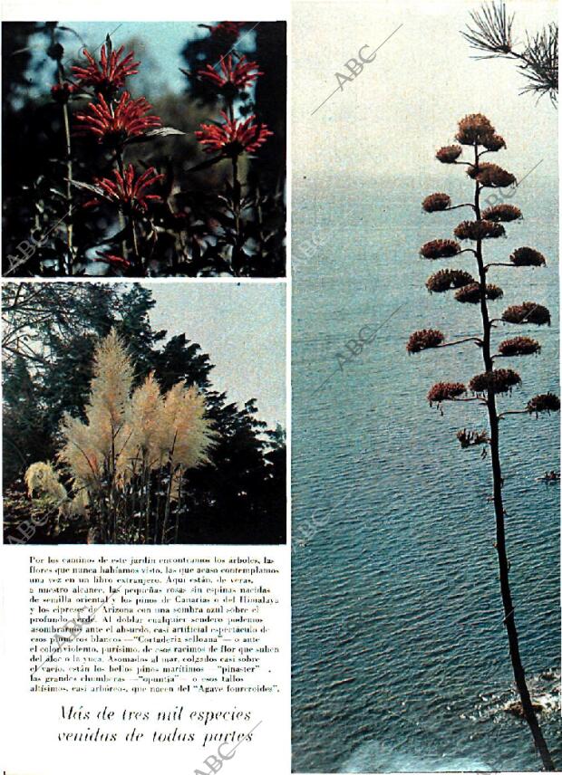 BLANCO Y NEGRO MADRID 25-01-1969 página 42