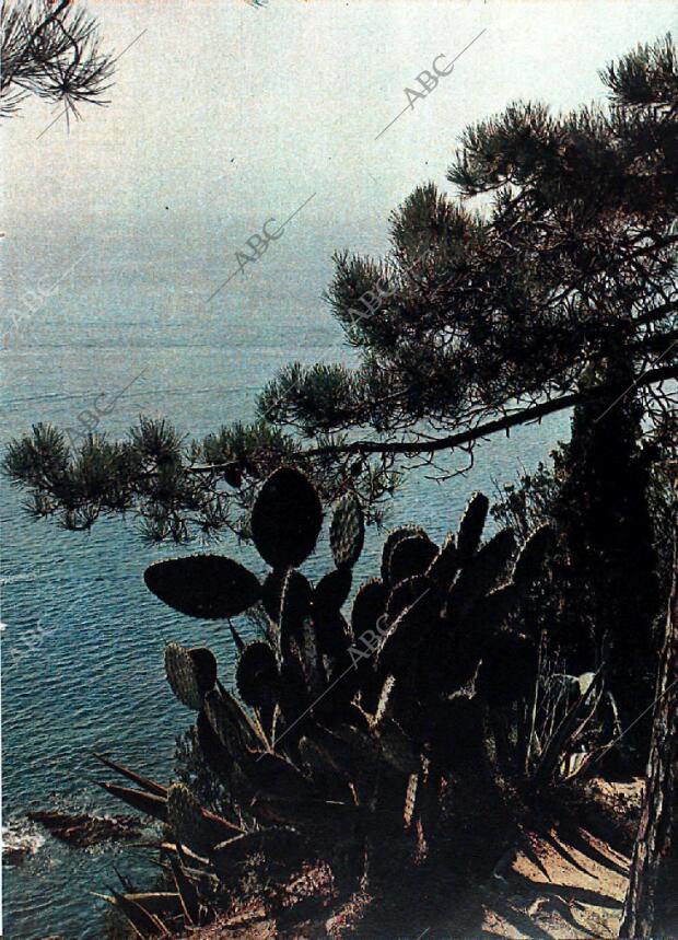 BLANCO Y NEGRO MADRID 25-01-1969 página 43