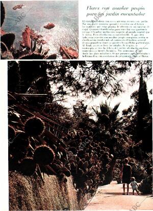 BLANCO Y NEGRO MADRID 25-01-1969 página 44