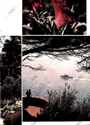 BLANCO Y NEGRO MADRID 25-01-1969 página 45