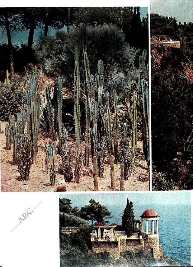 BLANCO Y NEGRO MADRID 25-01-1969 página 46