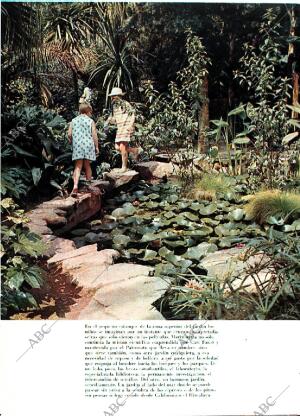 BLANCO Y NEGRO MADRID 25-01-1969 página 50