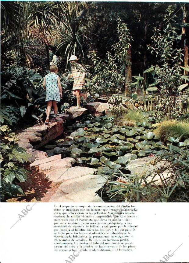 BLANCO Y NEGRO MADRID 25-01-1969 página 50