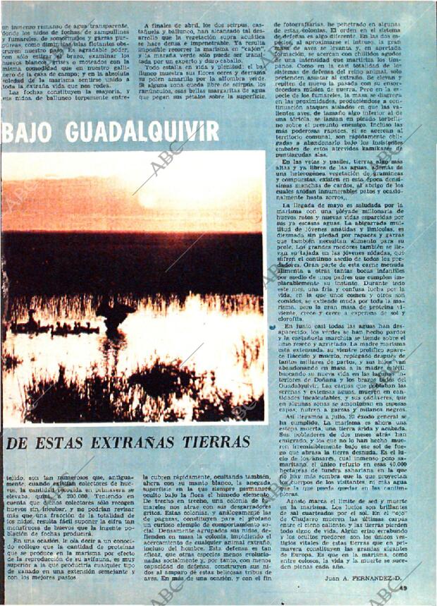 ABC MADRID 02-02-1969 página 167