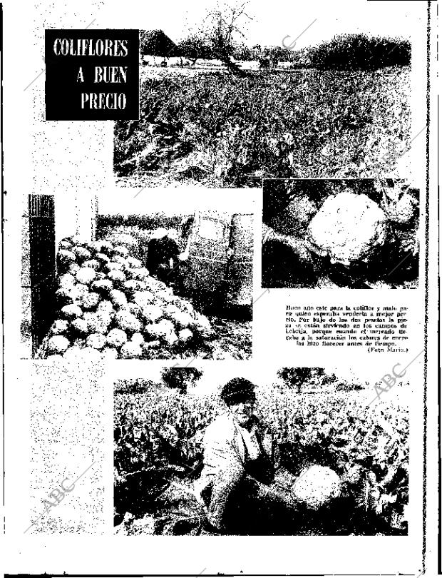 ABC SEVILLA 15-02-1969 página 7