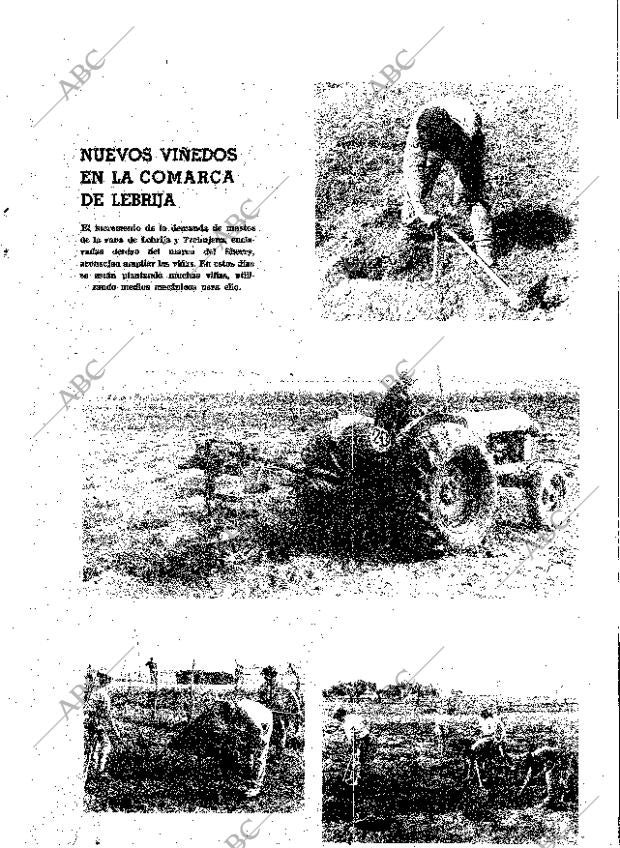 ABC SEVILLA 12-03-1969 página 11