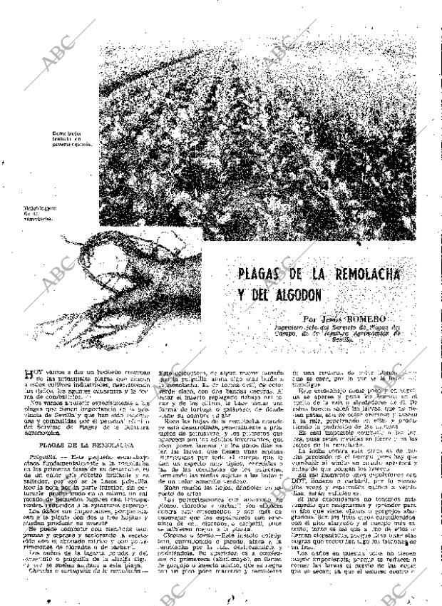 ABC SEVILLA 21-03-1969 página 63