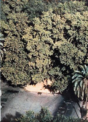 BLANCO Y NEGRO MADRID 29-03-1969 página 49