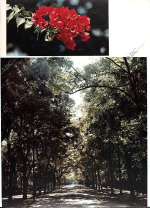 BLANCO Y NEGRO MADRID 29-03-1969 página 58