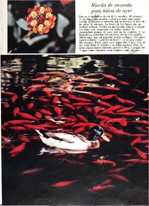 BLANCO Y NEGRO MADRID 29-03-1969 página 60