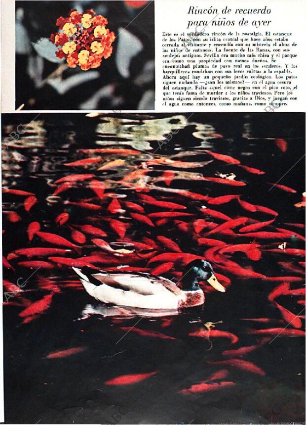 BLANCO Y NEGRO MADRID 29-03-1969 página 60