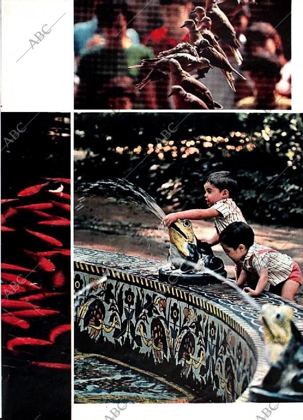 BLANCO Y NEGRO MADRID 29-03-1969 página 61