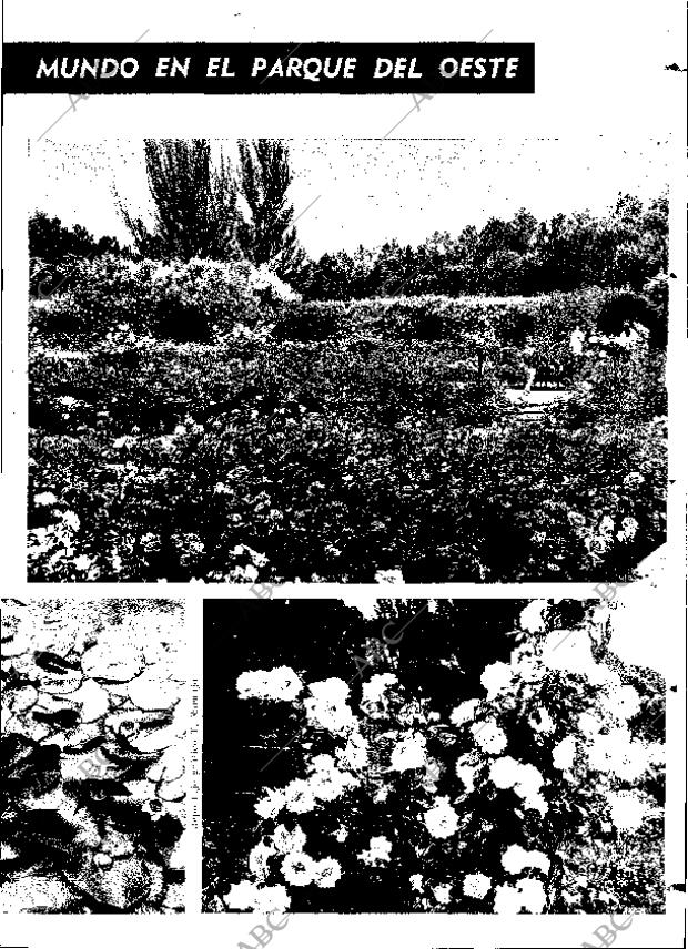ABC MADRID 03-06-1969 página 19