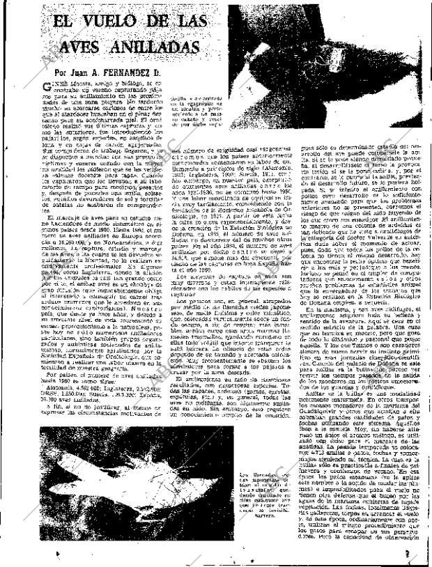 ABC SEVILLA 07-06-1969 página 25