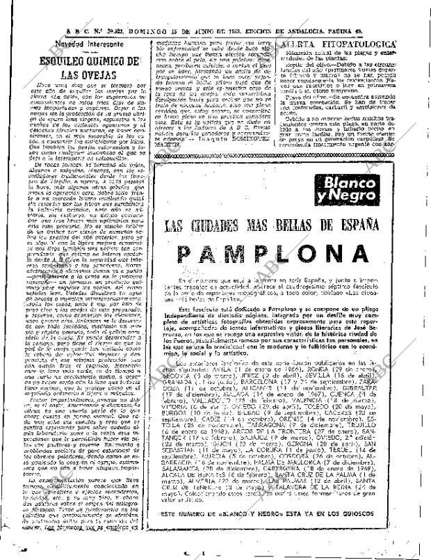 ABC SEVILLA 15-06-1969 página 49