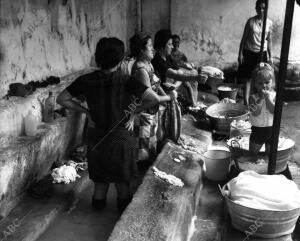 En la fotografía, un grupo de mujeres realizan su trabajo en el original...