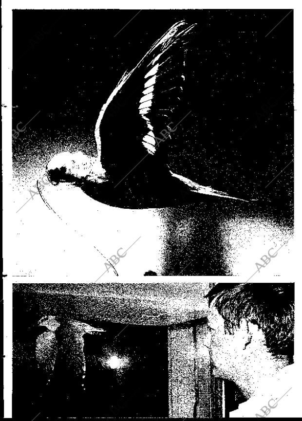 BLANCO Y NEGRO MADRID 05-07-1969 página 11