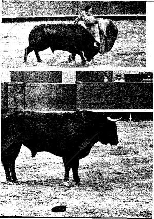 BLANCO Y NEGRO MADRID 23-08-1969 página 20