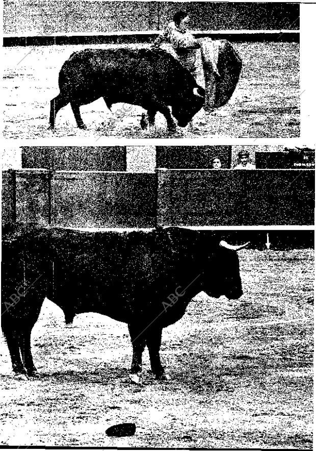 BLANCO Y NEGRO MADRID 23-08-1969 página 20