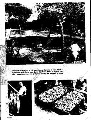 ABC SEVILLA 03-10-1969 página 17