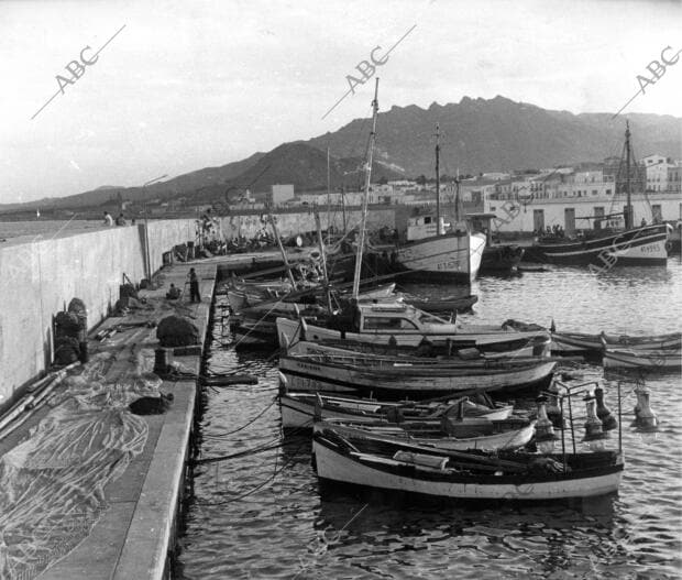 Principiante Nunca Simpático Puerto de Garrucha - Archivo ABC