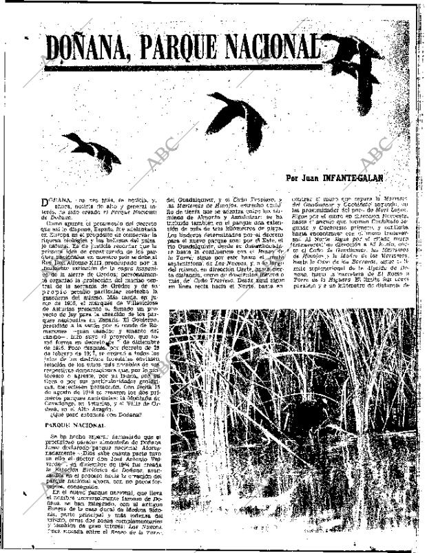 ABC SEVILLA 02-11-1969 página 16