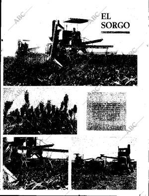 ABC SEVILLA 07-11-1969 página 79