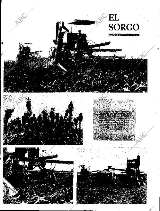 ABC SEVILLA 07-11-1969 página 79