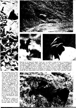 BLANCO Y NEGRO MADRID 22-11-1969 página 41