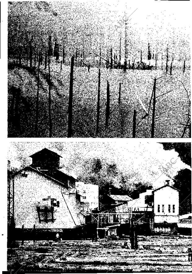 BLANCO Y NEGRO MADRID 22-11-1969 página 45