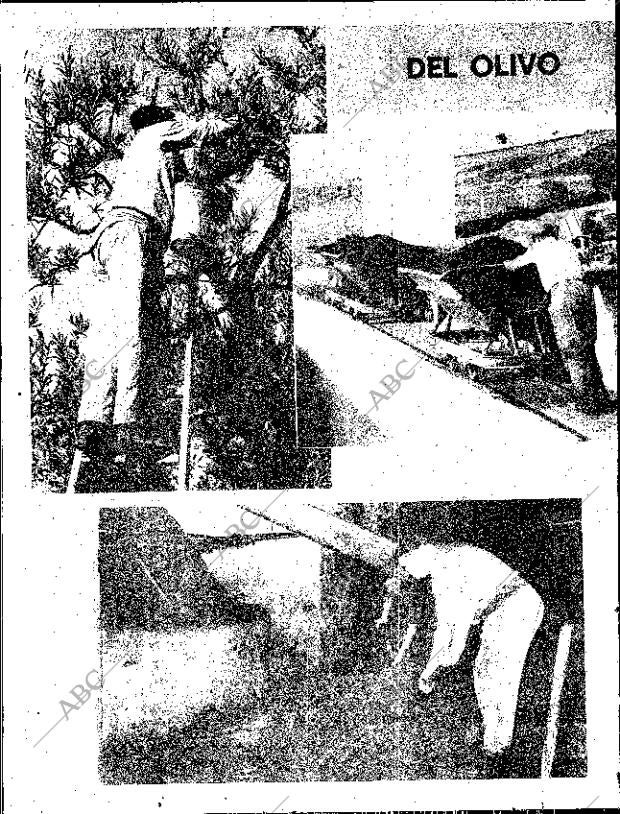 ABC SEVILLA 17-12-1969 página 16