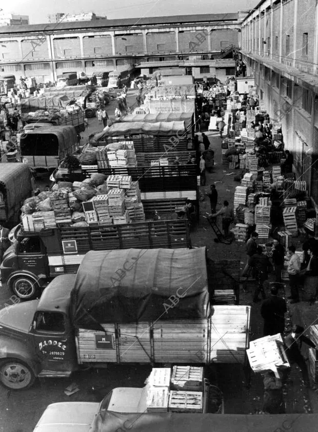 Descarga de Camiones del mercado central de Frutas y Verduras de Madrid