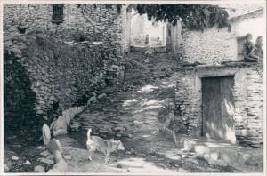 Calle en la Alpujarra