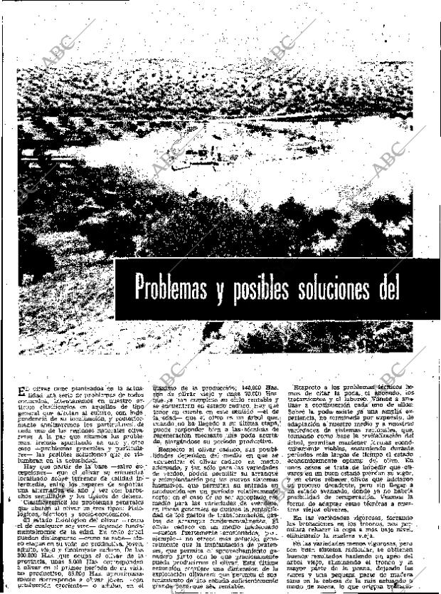 ABC SEVILLA 23-01-1970 página 14